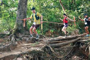 BIB: 
                            <button type="button" onclick="openModal(27556267)" class="btn btn-primary btn-sm float-right btn-popup" data-toggle="modal" data-target=".modal-high-quality">
                        <i class="fas fa-shopping-cart"></i> Add to Cart
                    </button>
                                            <button type="button" onclick="isThisMe(27556267, true)" class="btn btn-success btn-sm float-right btn-popup btn-isme hidden" data-toggle="tooltip" data-placement="bottom" title="นี่คือรูปของคุณใช่ไหม คลิกที่นี่เพื่อเอาเข้าอัลบั้ม">
                        <i class="fas fa-plus"></i> Add to album
                    </button>
                    <button type="button" onclick="isThisMe(27556267, false)" class="btn btn-warning btn-sm float-right btn-popup btn-isnotme hidden">
                        <i class="fas fa-ban"></i> Remove from album
                    </button>